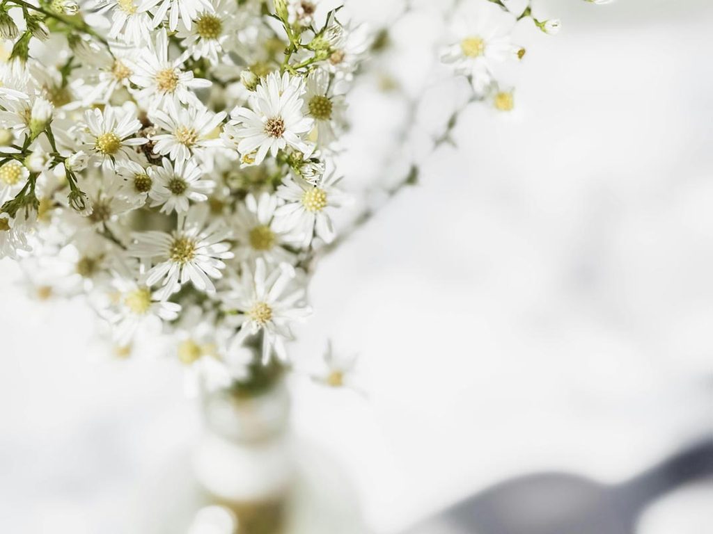Bereavement – help with dealing with the belongings of a lost one.