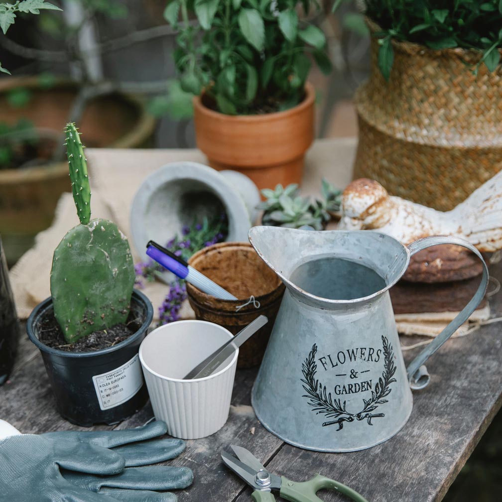 Sorting out a garden shed
